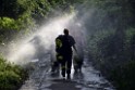 Waldbrand Koeln Hoehenhaus Hoehenfelder Mauspfad P187